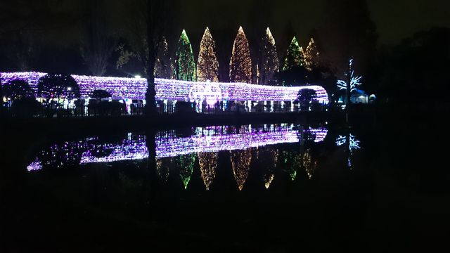 2014-12-12 18.54.38.jpg