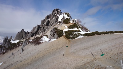 DSC_5241.JPG