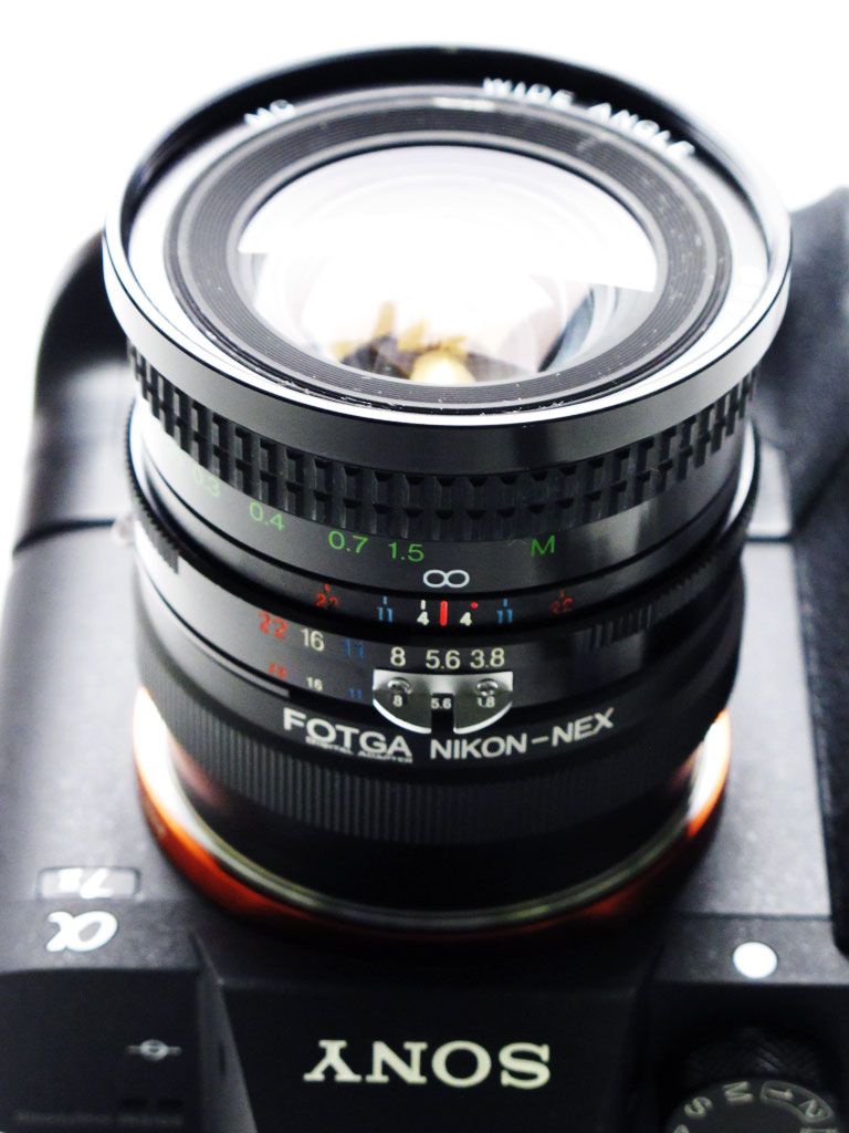 COSINA 20mm F3.8 MC MACRO | かめらぶろぐ - 楽天ブログ