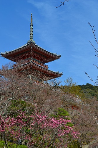 s-DSC_0755.jpg