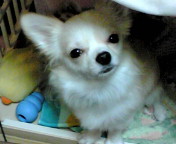 2014-12-16 19:57:57