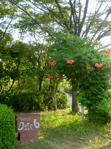 003 (375x500).jpg