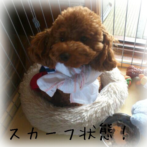 2012-06-28_09.45.37decr.jpg
