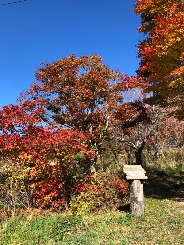 rblog-20181105002050-03.jpg