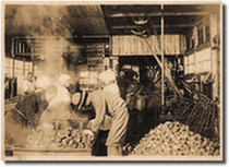 昭和初期の竹島・日本の缶詰工場