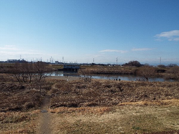 2016-02-18-kohakutyou-103-b.jpg