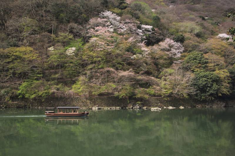 大堰川と嵐山_007.jpg