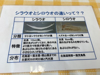 s-20160528 (130).jpg