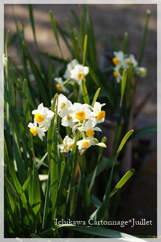 DSC09085 - コピー.JPG