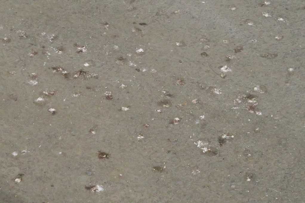 498
