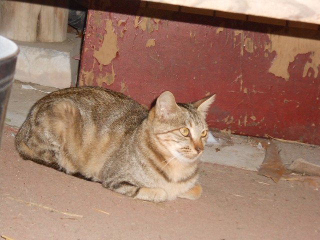 DSCN0547.JPG
