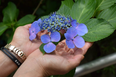 20150614-2.JPG