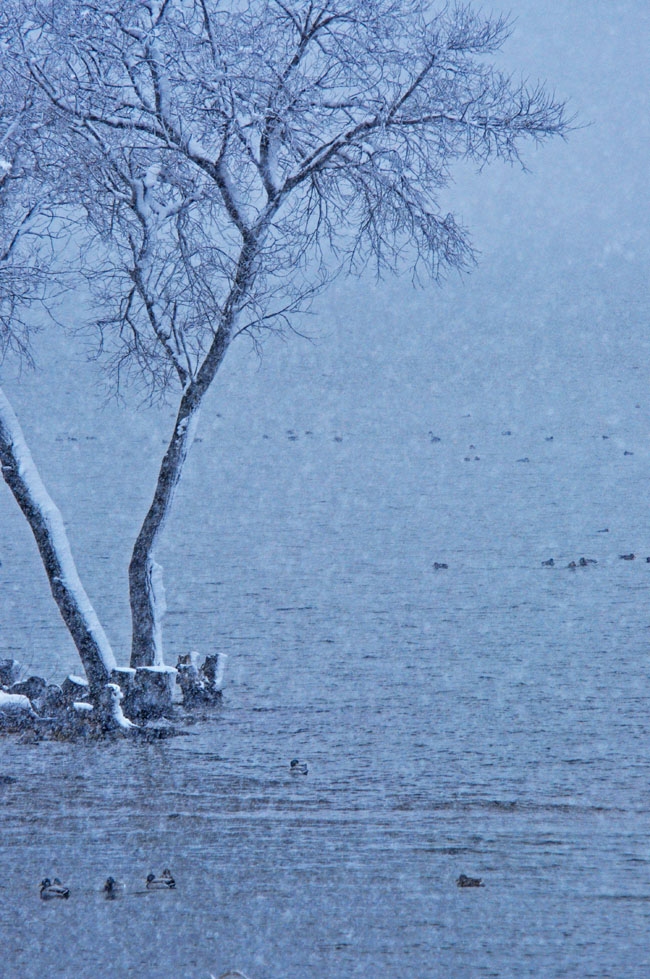 雪５