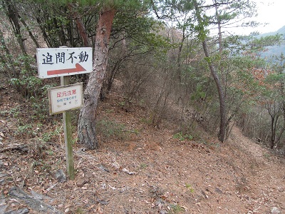 DSCN2681s.jpg