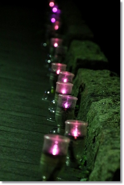 総持寺祖院-3 15.9.22