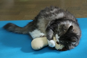 5DA_0608-14.jpg