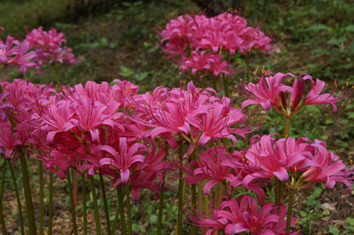 DSC07773.jpg