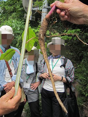 IMG_2121　モザイク.jpg