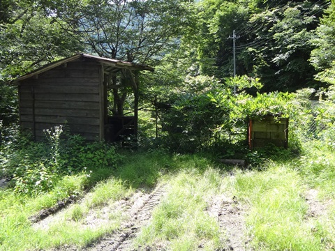 DSC01667.JPG