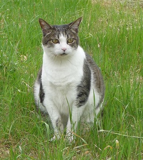 P1020978-ass.jpg