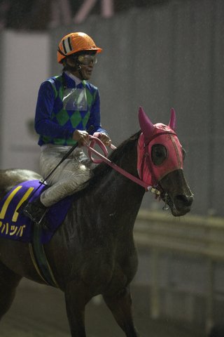 レース後