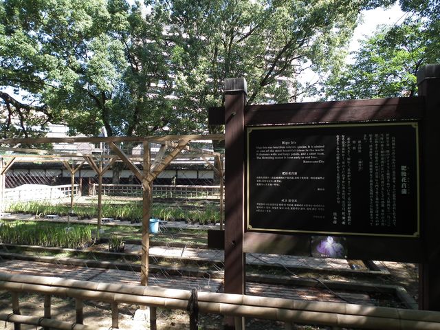 DSCF5765.JPG