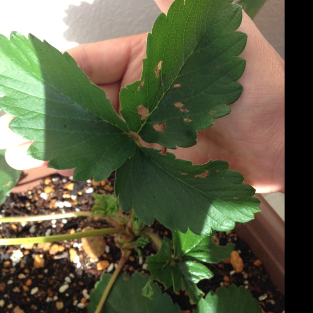 rblog-20131109144228-01.jpg