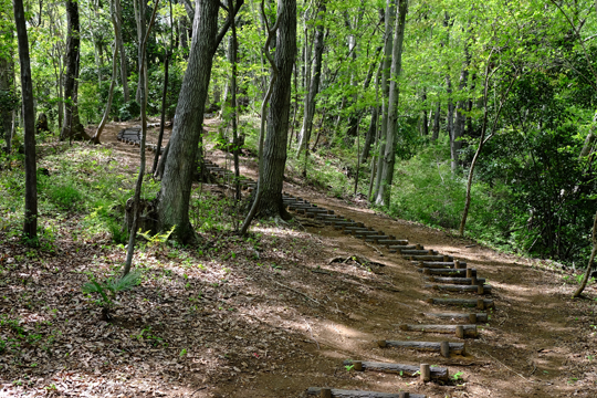 2016 04 15_3172.jpg