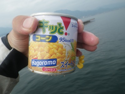 IMGP4475.JPG
