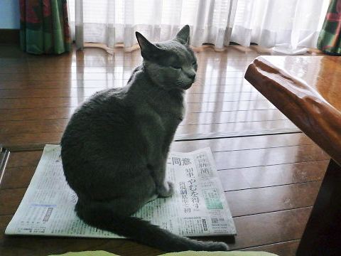 2014年11月08日_P1200942.jpg