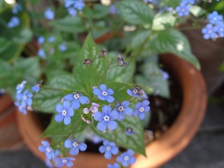 DSC03737.jpg