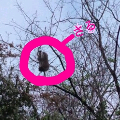 20130405174822.jpeg