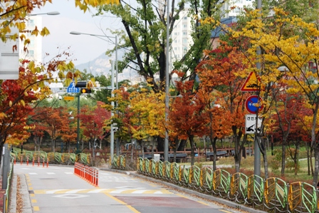 20141024 fall in seoul 3.jpg