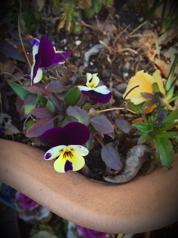 rblog-20150227215104-04.jpg