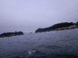 CA3G02170001.jpg