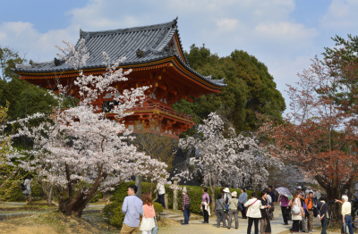 仁和寺2
