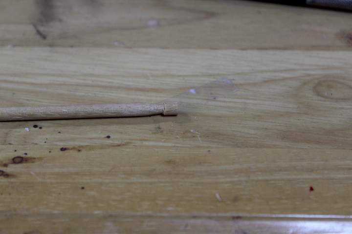 005.JPG