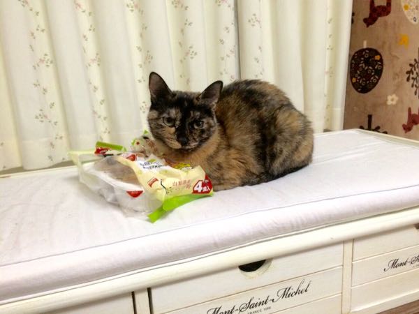 rblog-20151119214404-00.jpg