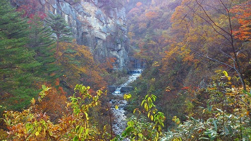 20141105面白山駅から渓谷.jpg