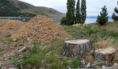 tekaponoki