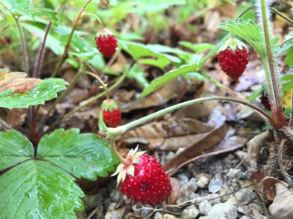 rblog-20160724193622-10.jpg