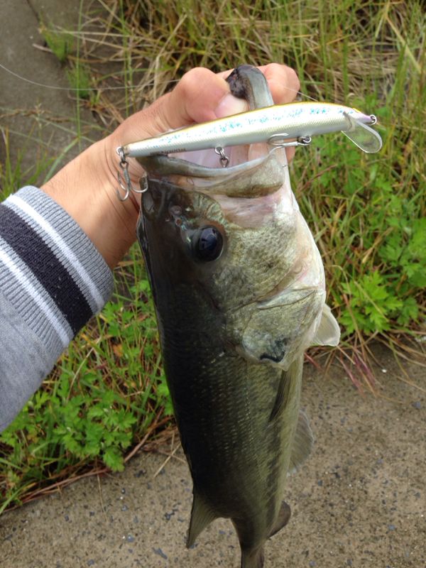 rblog-20140513135105-01.jpg
