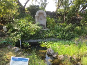 伊豆四季の花公園