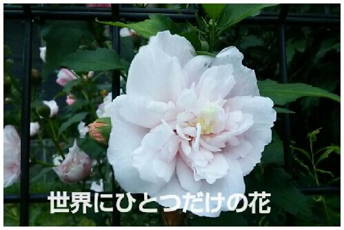 rblog-20160717230121-00.jpg
