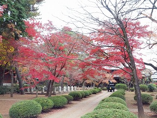 豪徳寺.jpg