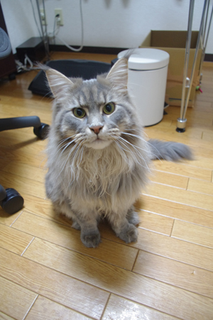 IMGP1251.JPG