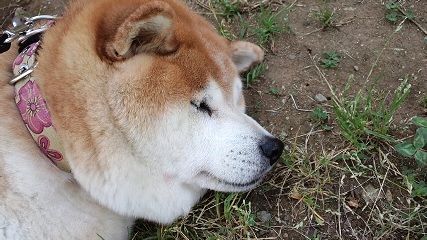 休憩３.jpg