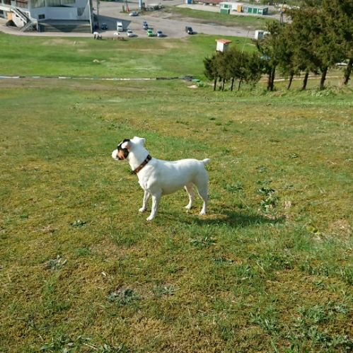 rblog-20180505154339-01.jpg