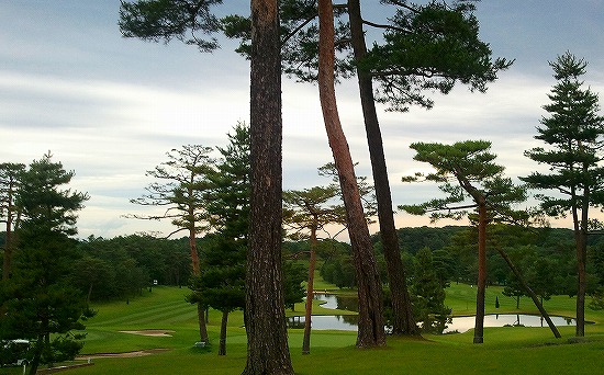 2012-06-20 11.21.53.jpg