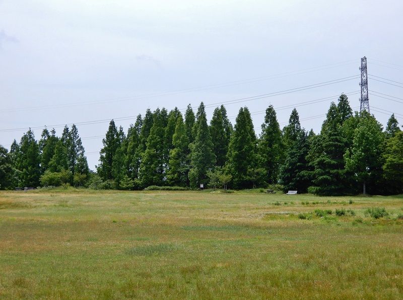 多目的広場3
